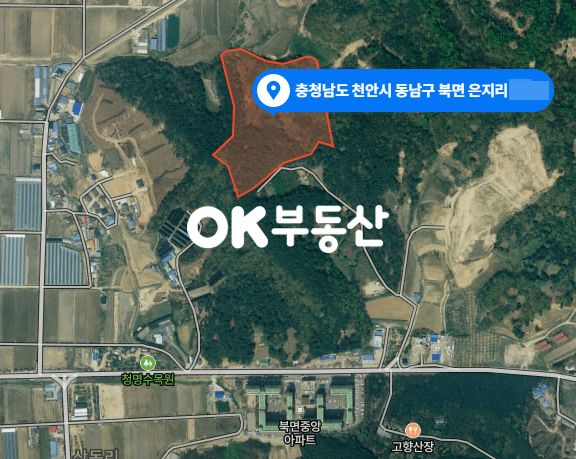 충남 천안동남구 북면 은지리 북면은지리 야산 매매 매매 매물번호 12886 사진 1