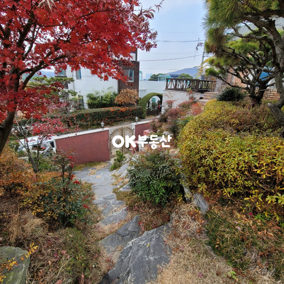 충남 천안동남구 구성동 천안 구성동 대형 주택단지 (대지+공용지분290평) 6억8000만원 매매 합니다 매매 매물번호 12714 사진 7