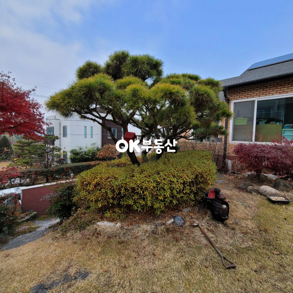 충남 천안동남구 구성동 천안 구성동 대형 주택단지 (대지+공용지분290평) 6억8000만원 매매 합니다 매매 매물번호 12714 사진 13