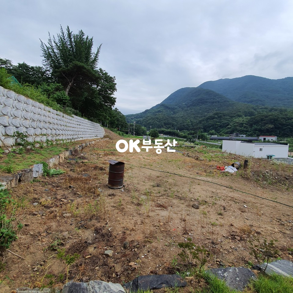 충남 아산시 배방읍 수철리 아산토지매매 배발 수철리 산새좋은 택지 (공유지분포함220평)1억7천600만원 매매 합니다 매매 매물번호 12159 사진 5
