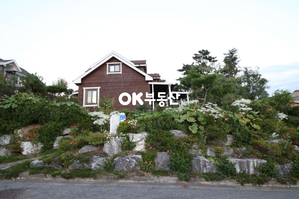 충남 천안서북구 부대동 천안저원주택대지:207평(도로:23평) 건물:55평(59800만원)매매합니다 매매 매물번호 10780 사진 1