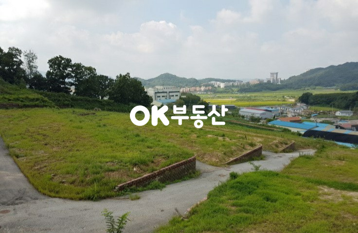 충남 아산시 탕정면 매곡리 천안아산역 초더블 역세권 매곡리 토지도로지분포함103평 전원주택부지 평당230~250만원 매매 합니다 매매 매물번호 11993 사진 1