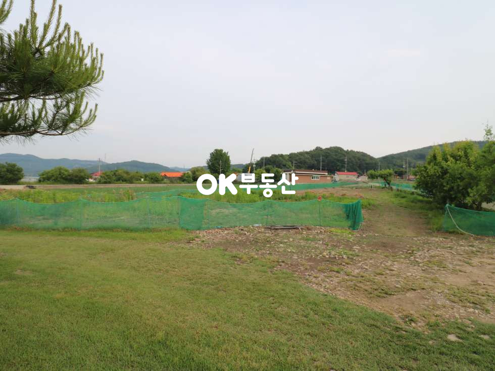 충남 아산시 도고면 신유리 아산토지매매 도고 저수지 바로 앞 집 지을 수 있는토208평1억3400만 매매 합니다 매매 매물번호 12046 사진 3