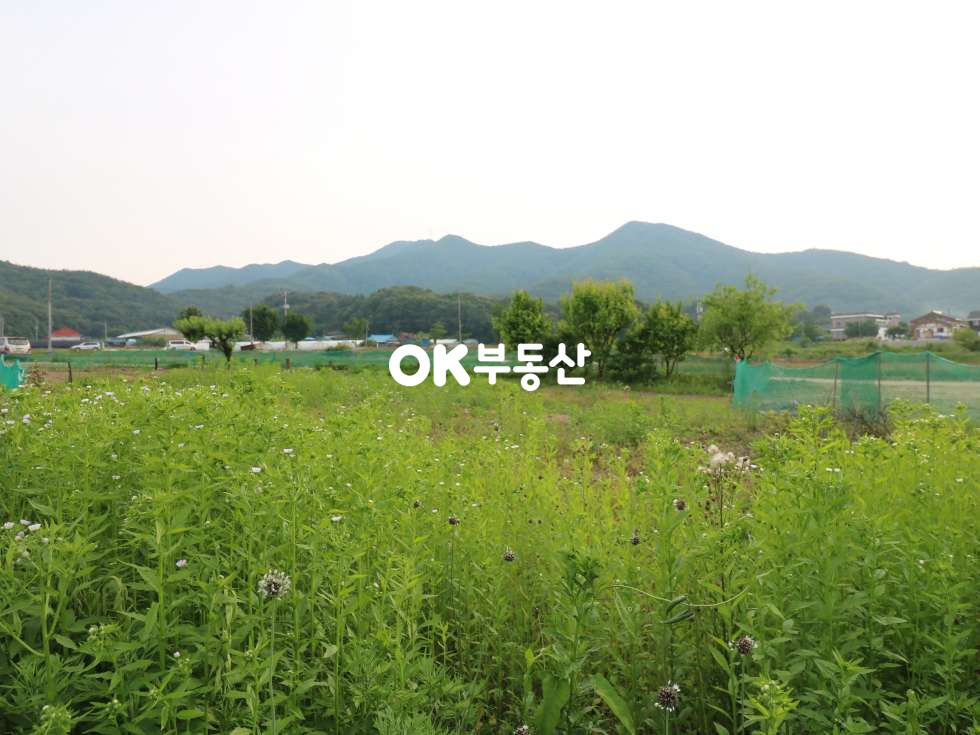 충남 아산시 도고면 신유리 아산토지매매 도고 저수지 바로 앞 집 지을 수 있는토208평1억3400만 매매 합니다 매매 매물번호 12046 사진 4