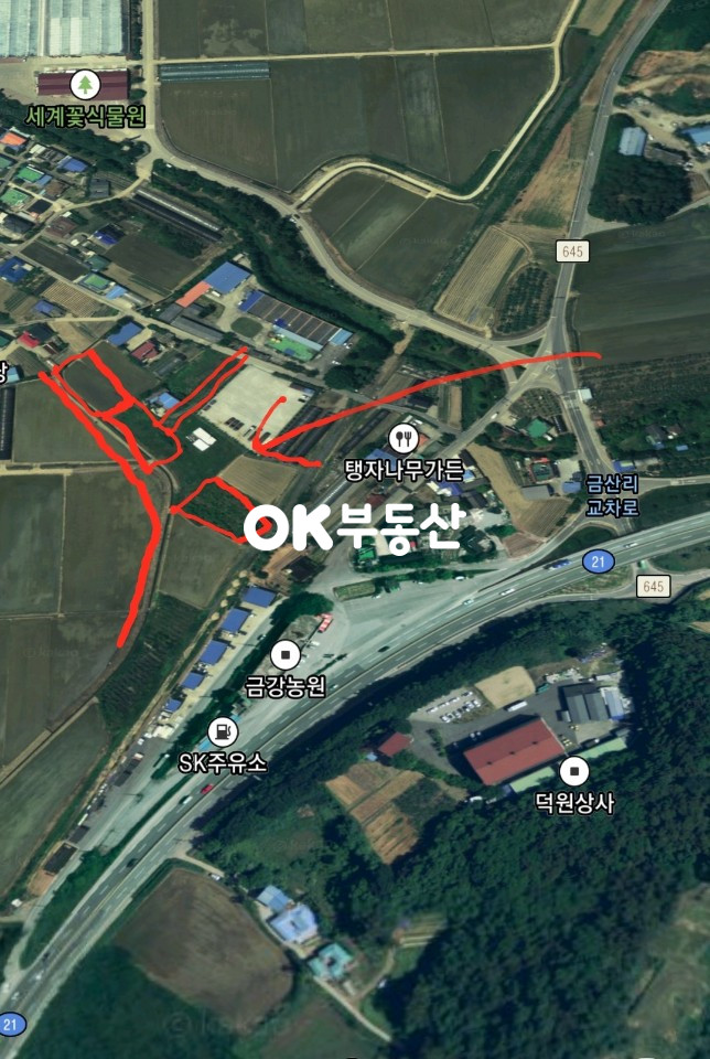 충남 아산시 도고면 봉농리 21번 국도변 세계 꽃식물원 마을 저렴한 건축 가능한 토지 초저렴 매매 합니다 총 3필지로 분할 가능 합니다 매매 매물번호 11313 사진 1