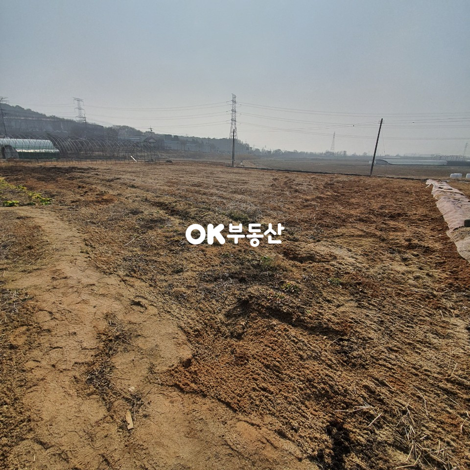 충남 아산시 도고면 봉농리 21번 국도변 세계 꽃식물원 마을 저렴한 건축 가능한 토지 초저렴 매매 합니다 총 3필지로 분할 가능 합니다 매매 매물번호 11313 사진 2