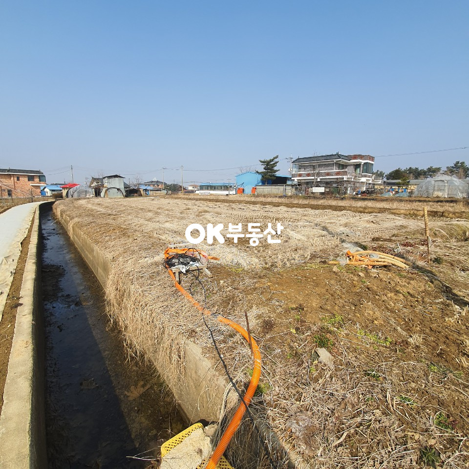 충남 아산시 도고면 봉농리 21번 국도변 세계 꽃식물원 마을 저렴한 건축 가능한 토지 초저렴 매매 합니다 총 3필지로 분할 가능 합니다 매매 매물번호 11313 사진 6