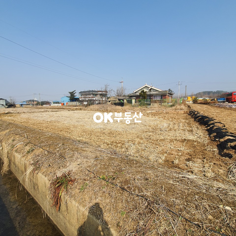 충남 아산시 도고면 봉농리 21번 국도변 세계 꽃식물원 마을 저렴한 건축 가능한 토지 초저렴 매매 합니다 총 3필지로 분할 가능 합니다 매매 매물번호 11313 사진 7
