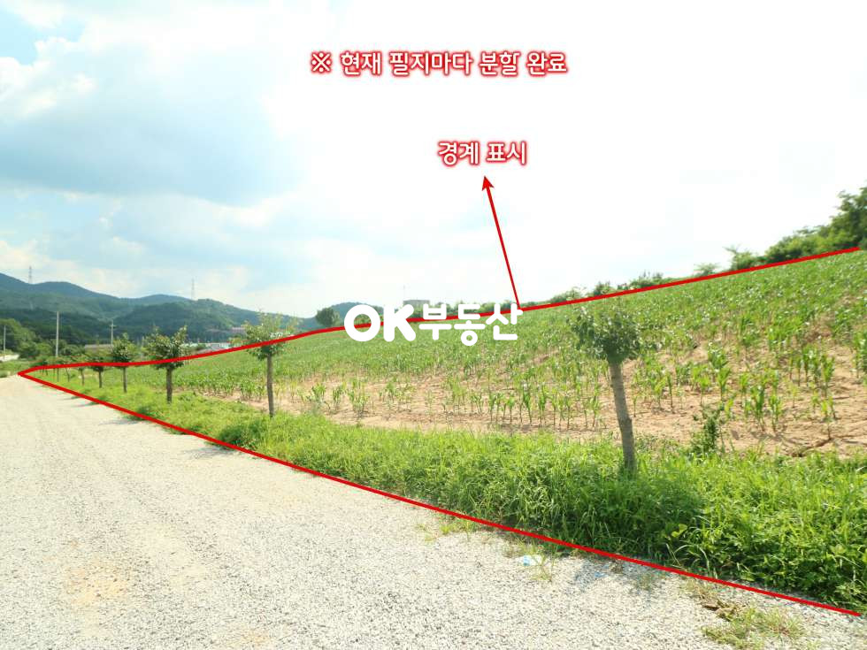 충남 아산시 도고면 금산리 아산토지매매 도고온천역 자차 1 ~ 2분 소요 전원주택단지로 조성 되는 토지 [ 임야 : 6439평 / 도로 : 1463평 ) 매매 매물번호 13564 사진 5