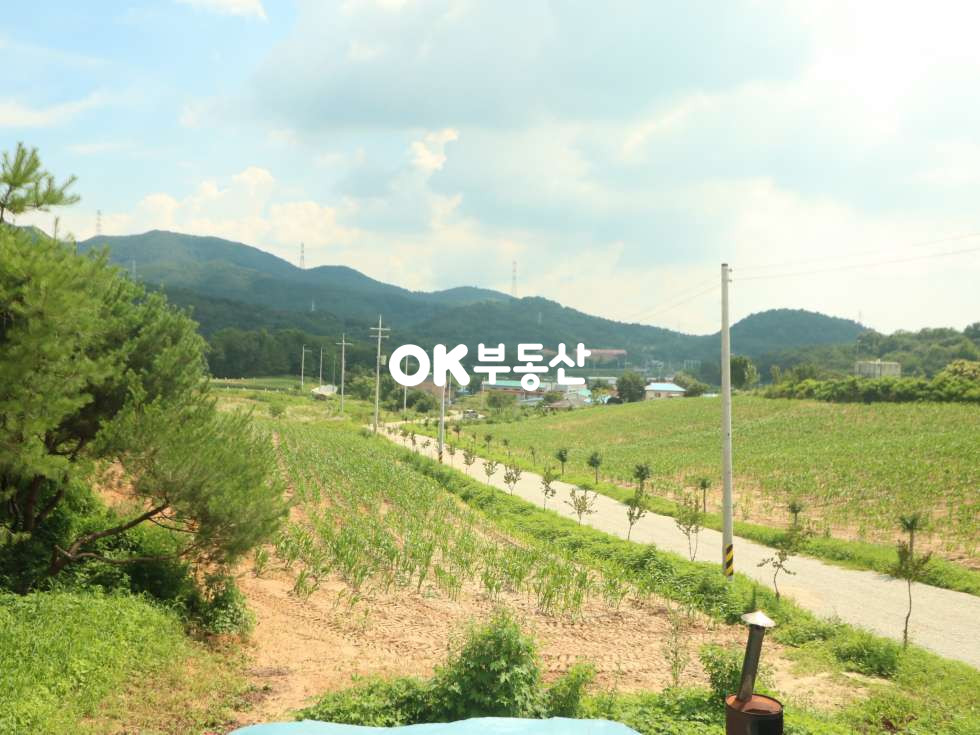 충남 아산시 도고면 금산리 아산토지매매 도고온천역 자차 1 ~ 2분 소요 전원주택단지로 조성 되는 토지 [ 임야 : 6439평 / 도로 : 1463평 ) 매매 매물번호 13564 사진 8