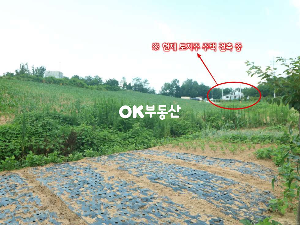 충남 아산시 도고면 금산리 아산토지매매 도고온천역 자차 1 ~ 2분 소요 전원주택단지로 조성 되는 토지 [ 임야 : 6439평 / 도로 : 1463평 ) 매매 매물번호 13564 사진 9