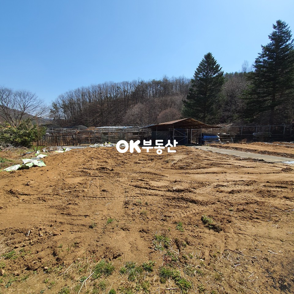 충남 아산시 송악면 동화리507-6 아산 송악 저수지뷰 목장용지 매매 매매 매물번호 11681 사진 2