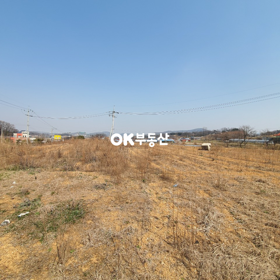 충남 아산시 초사동 650 아산 초사동 멀리 신정호 내다보이는 계획관리 토지 매매 합니다 매매 매물번호 11660 사진 5