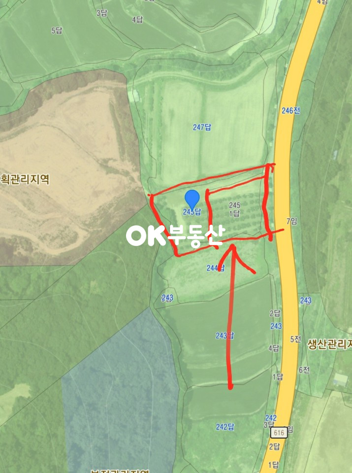 충남 아산시 송악면 강장리245 송악 강장리 초특급 매물 2차선도로 건축 가능하고 채광 좋은 최고의 토지 최저가 추천(평당31만원) 매매 합니다 매매 매물번호 11583 사진 3