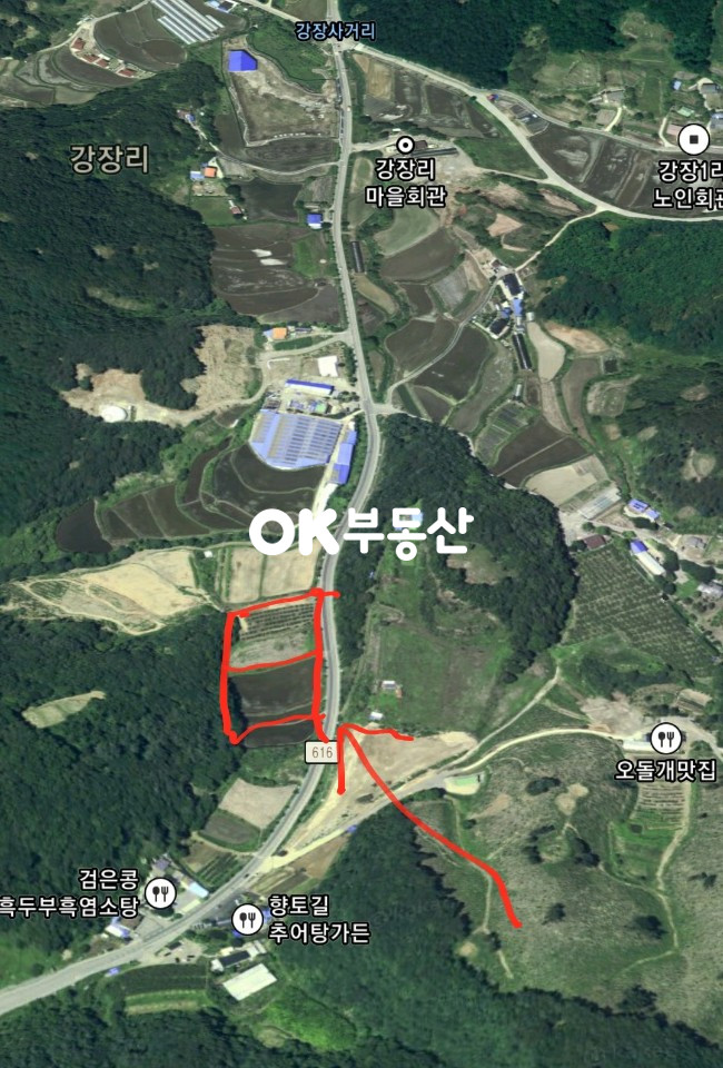 충남 아산시 송악면 강장리245 송악 강장리 초특급 매물 2차선도로 건축 가능하고 채광 좋은 최고의 토지 최저가 추천(평당31만원) 매매 합니다 매매 매물번호 11583 사진 4