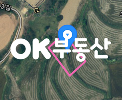 충남 천안동남구 광덕면 신흥리 천안토지매매 광덕의 강남 계획관리 회장님이 잡고 계시던 가장 좋은 토지매매 매매 매물번호 13731 사진 4