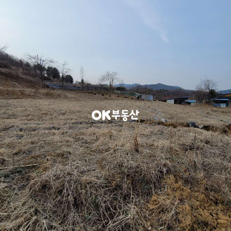 충남 천안동남구 광덕면 천안 전원주택단지내토지 (평당100)매매합니다 매매 매물번호 13091 사진 3