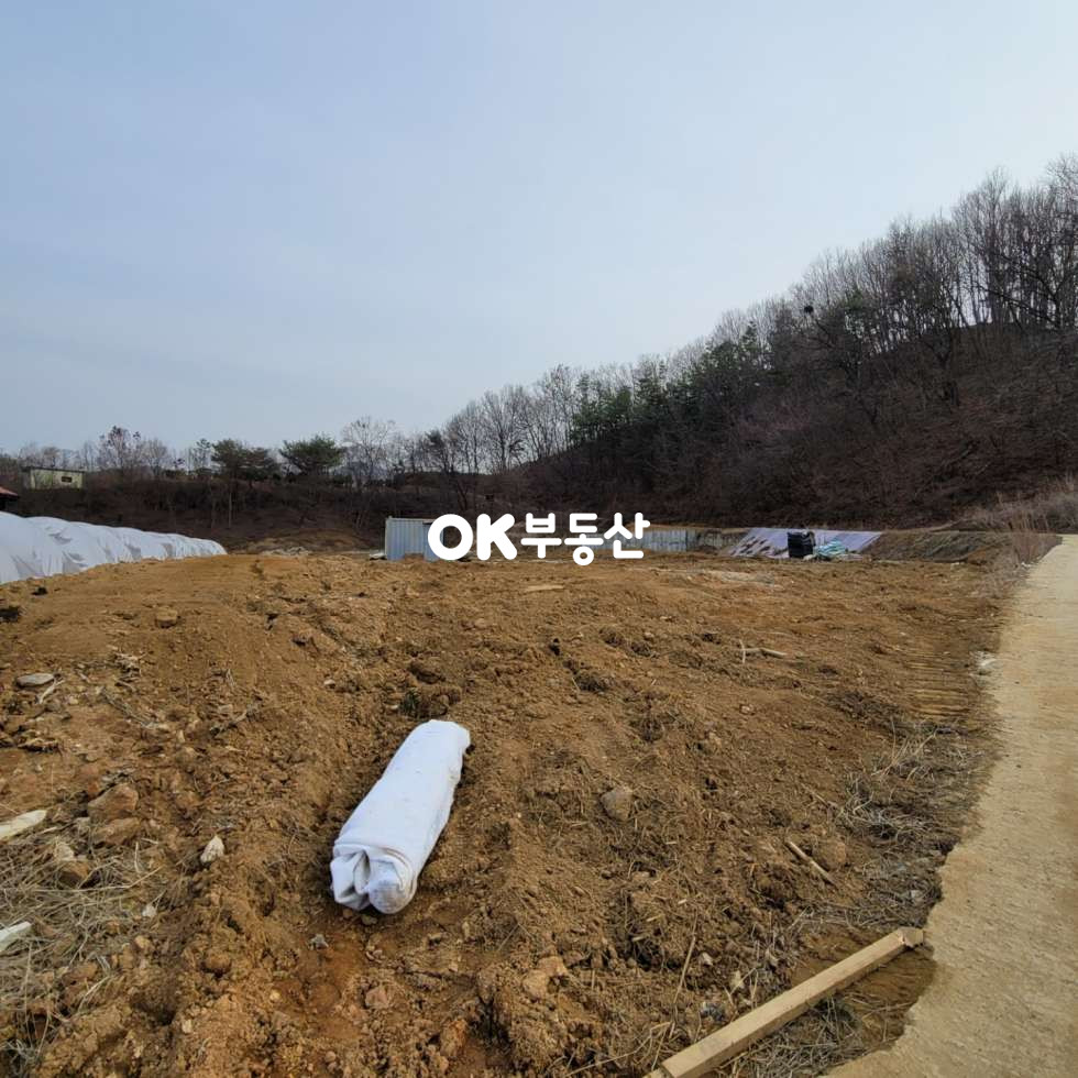 충남 천안동남구 광덕면 천안 전원주택단지내토지 (평당100)매매합니다 매매 매물번호 13091 사진 4