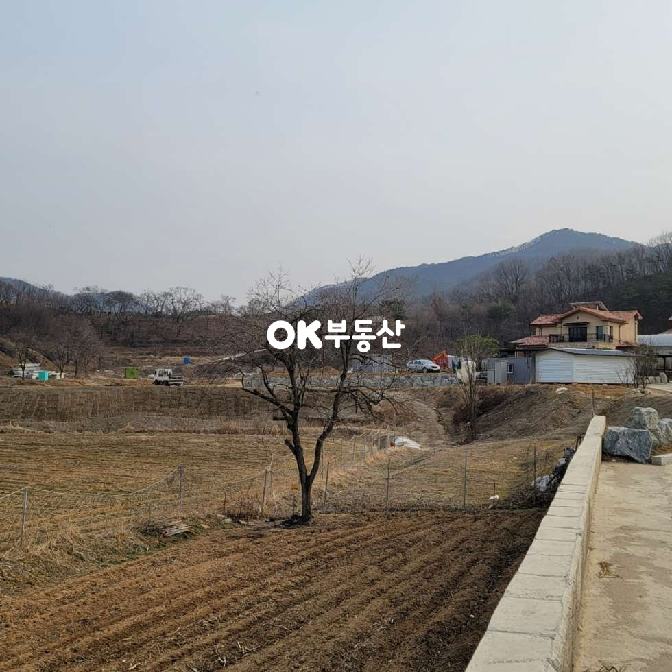 충남 천안동남구 광덕면 천안 전원주택단지내토지 (평당100)매매합니다 매매 매물번호 13091 사진 6