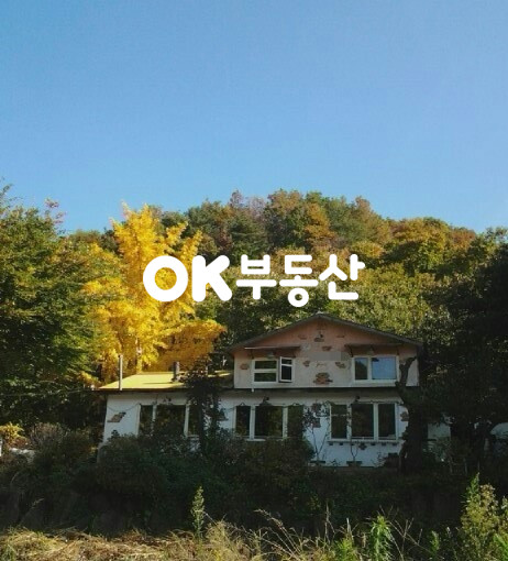 경기 안성시 서운면 청용리 안성전원주택매매 총 2필지 제2종근생 필지 앞 도로 국유지 분위기와 멋을 살린 카페 주택 ( 대지 : 160평 / 건물 연 : 39평 ) 매매 매물번호 13765 사진 1