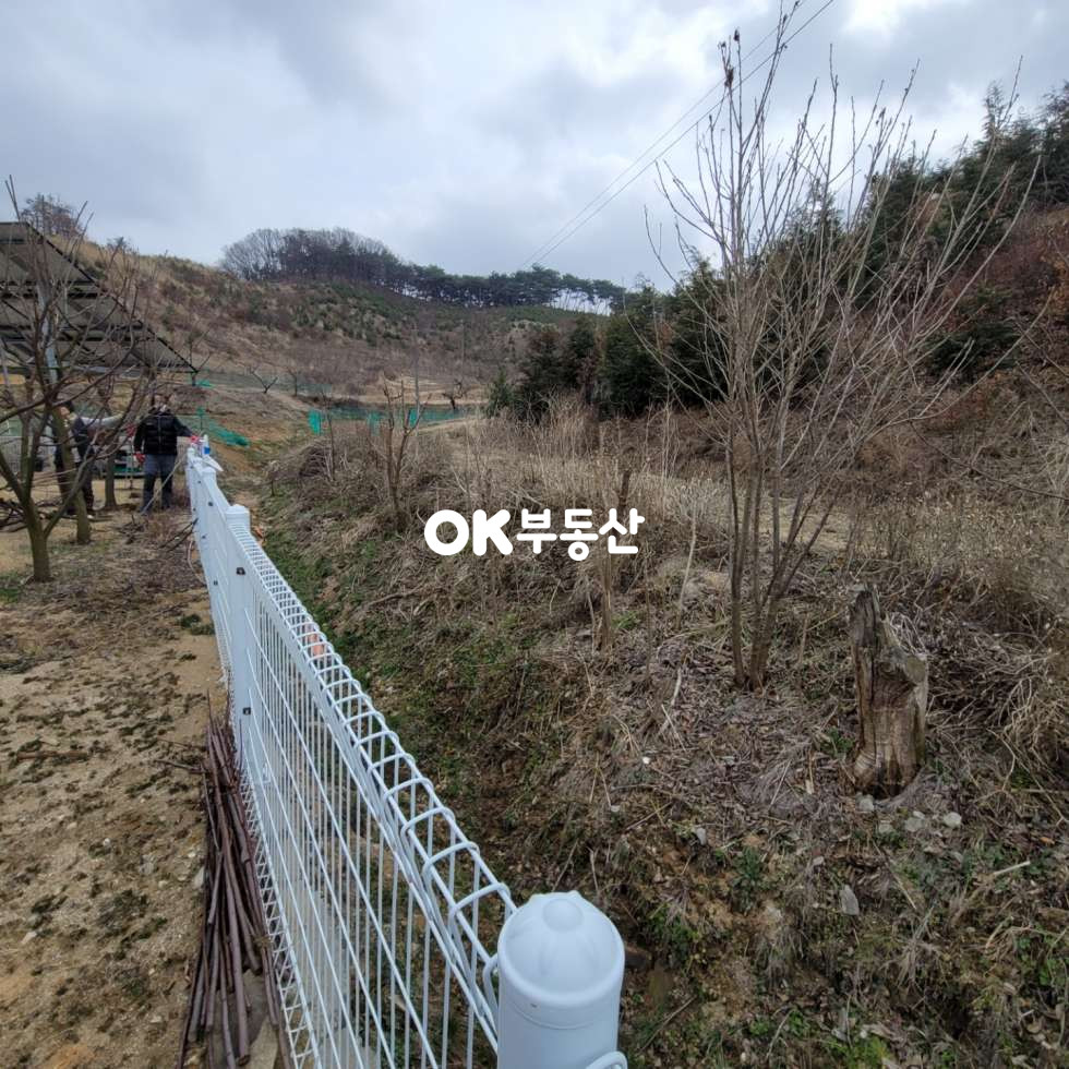충남 아산시 송악면 동화리 아산전원주택매매 송악전원주택매매 매매 매물번호 13072 사진 5