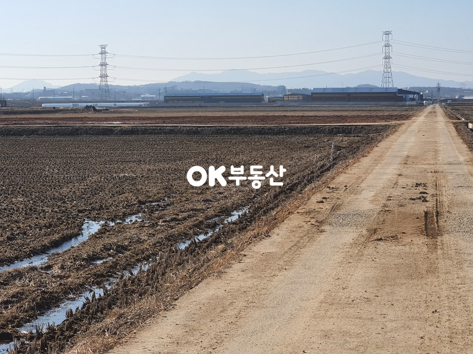 충남 아산시 도고면 봉농리 2400평 답, 바로 앞토지 공장부지로 매매완료 매매 매물번호 10977 사진 2