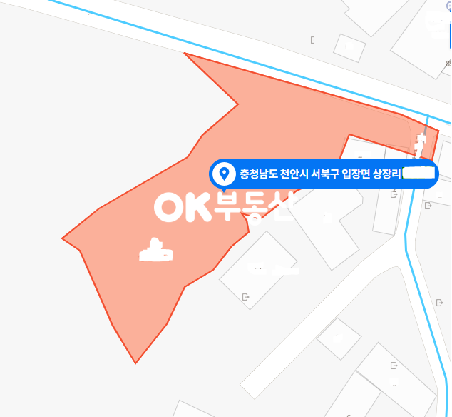 충남 천안서북구 입장면 상장리 천안 입장면 대지 324평 매매 매매 매물번호 14126 사진 1