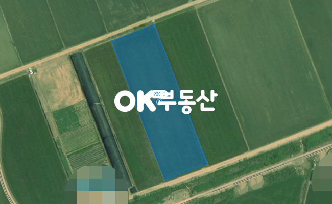 충남 아산시 신창면 창암리 아산신창면토지매매 (답930평) 매매 매물번호 14100 사진 1