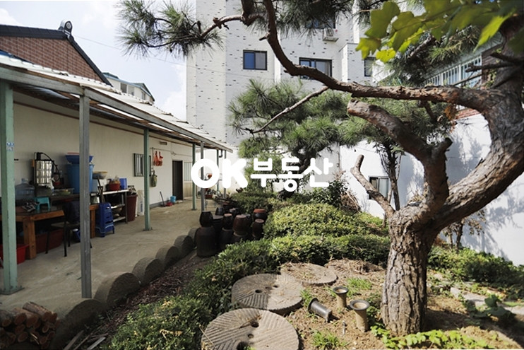 충남 천안서북구 성정동 카페,공방으로도 꾸며도 좋을 정원이 참 예쁜 성정동 시내권 주택 매매 매매 매물번호 13733 사진 5