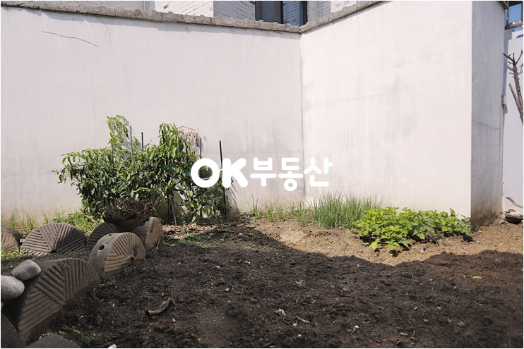 충남 천안서북구 성정동 카페,공방으로도 꾸며도 좋을 정원이 참 예쁜 성정동 시내권 주택 매매 매매 매물번호 13733 사진 7