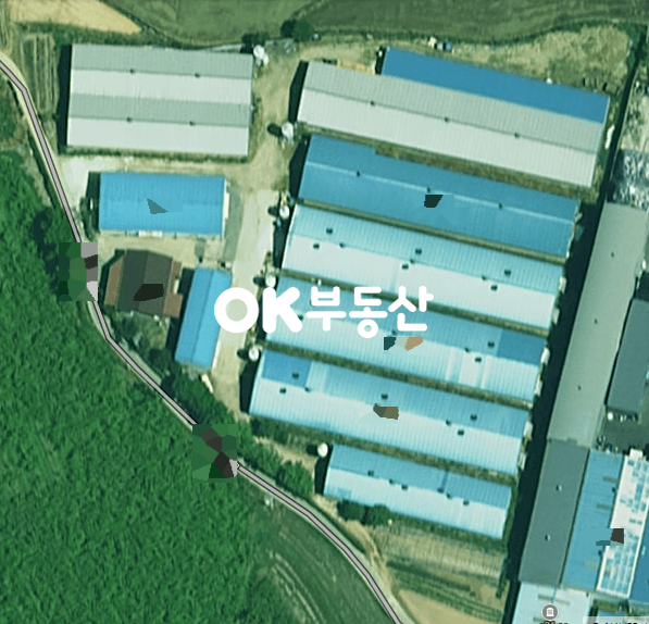 충남 천안서북구 직산읍 석곡리 천안 동.식물관련시설 농업용 창고 매매 (대지 3499평, 연면적1025평) 축사,양계장 운영중 매매 매물번호 14248 사진 2