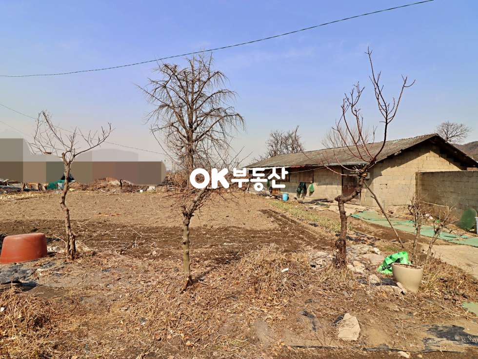 충남 천안서북구 성거읍 천흥리 천안성거주택토지매매 3필지 (대지321평/연21평) 매매 매물번호 14210 사진 3