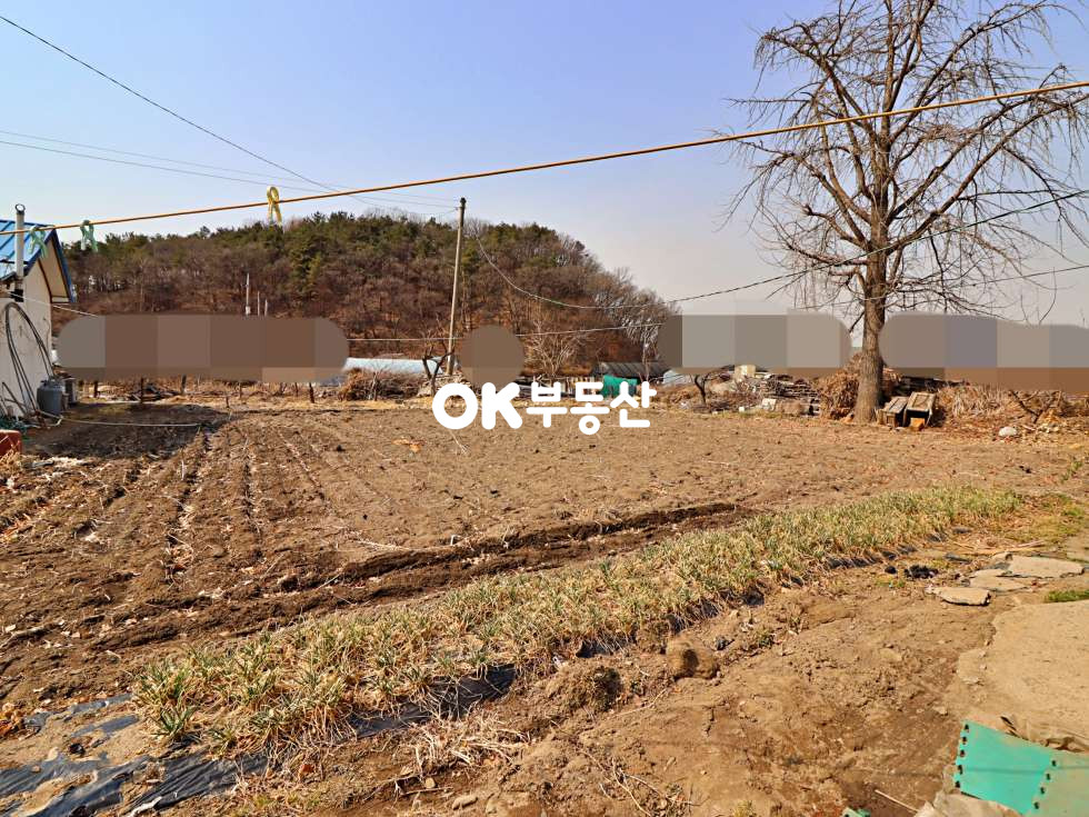 충남 천안서북구 성거읍 천흥리 천안성거주택토지매매 3필지 (대지321평/연21평) 매매 매물번호 14210 사진 4