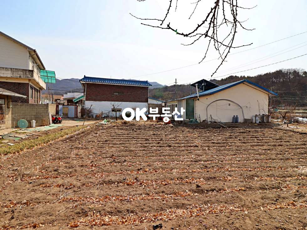 충남 천안서북구 성거읍 천흥리 천안성거주택토지매매 3필지 (대지321평/연21평) 매매 매물번호 14210 사진 5