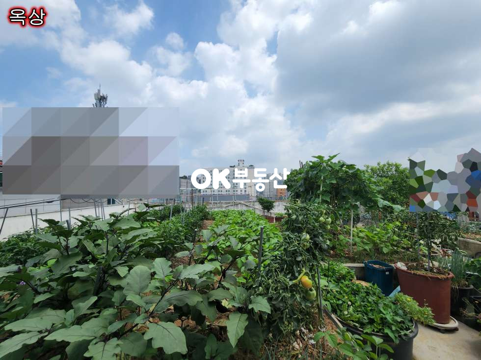 충남 천안서북구 두정동 두정동 먹자골목 상가주택매매(대지82평, 건축45평, 연면적162평) 매매 매물번호 14854 사진 7