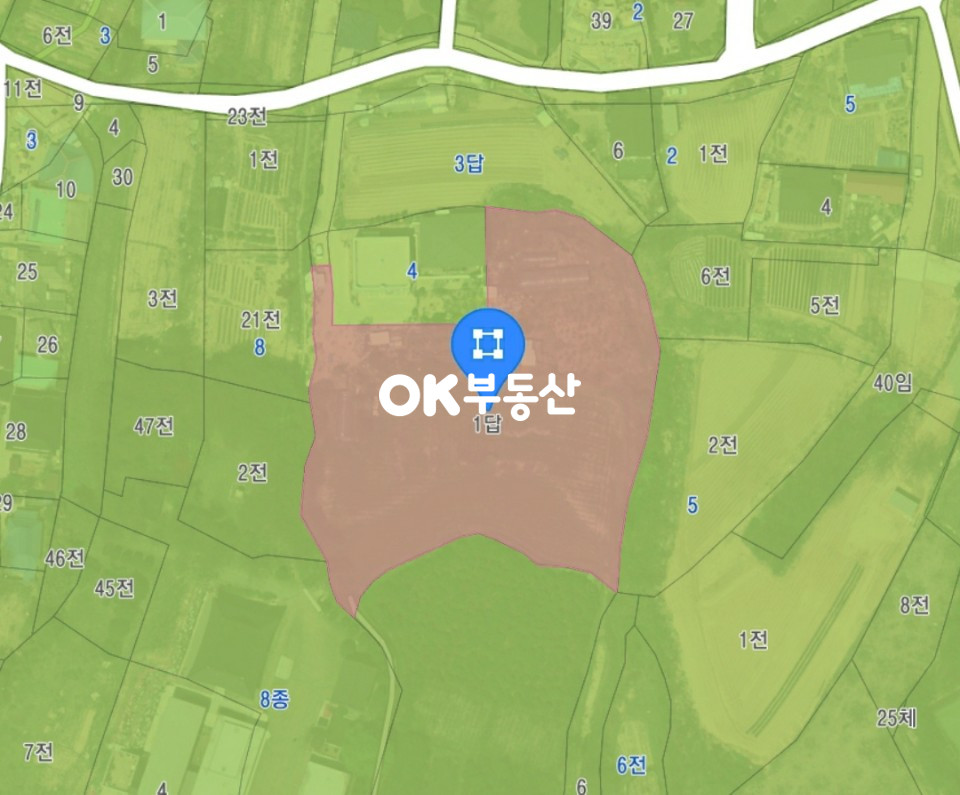충남 천안동남구 원성동 시내권] 4필지 총 1457평! 평당 150만원 21억 9000만 천안토지매매 원성동토지매매 매매 매물번호 12282 사진 3