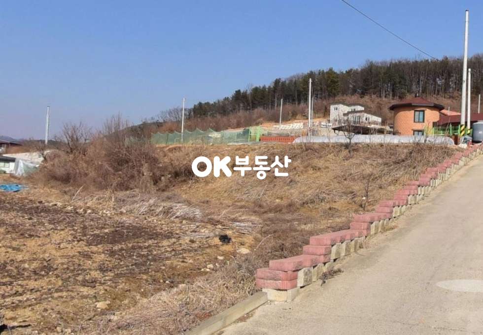 충남 천안동남구 북면 상동리 총 3필지 모두 평수 달라요 매매 매물번호 15977 사진 3