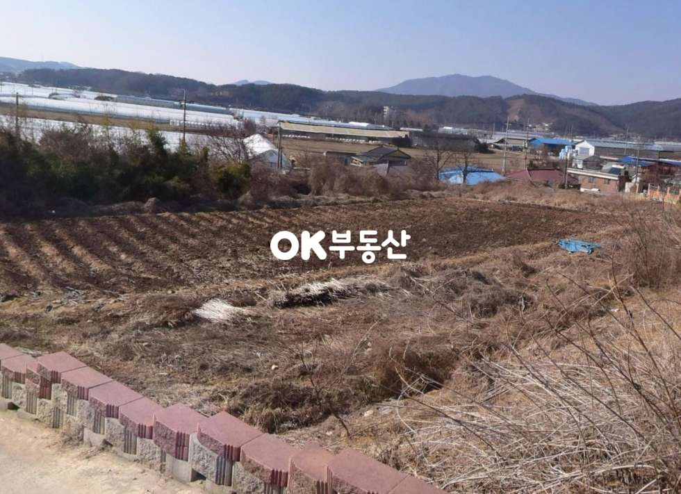 충남 천안동남구 북면 상동리 총 3필지 모두 평수 달라요 매매 매물번호 15977 사진 4