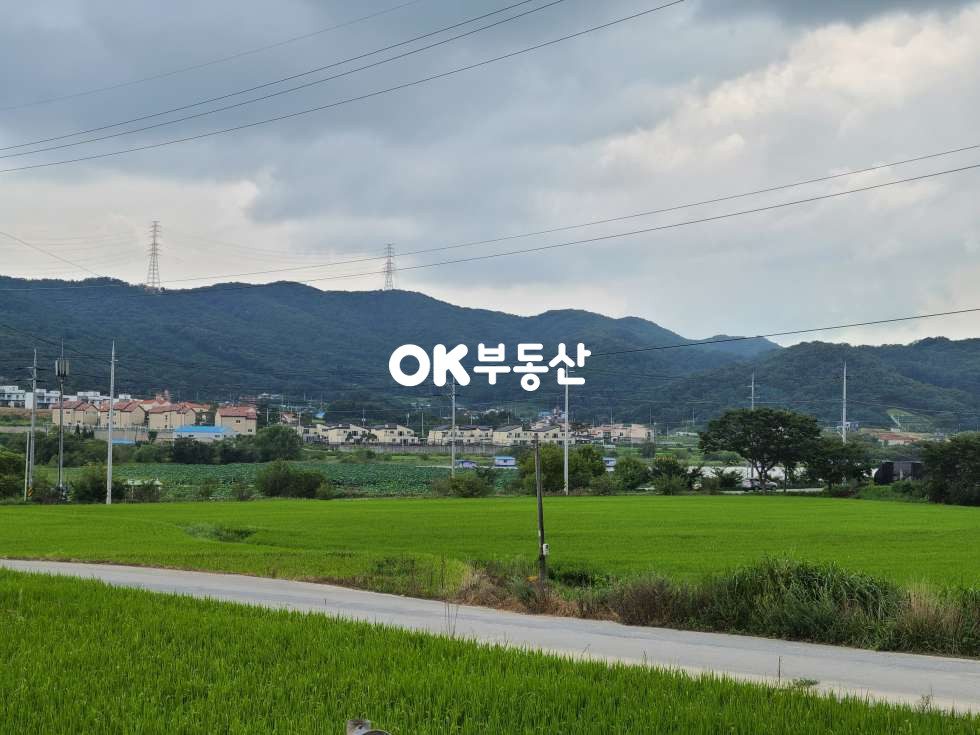 충남 아산시 영인면 성내리 아산영인면전원주택매매 대지 160평 연 48평 매매 매물번호 15418 사진 13