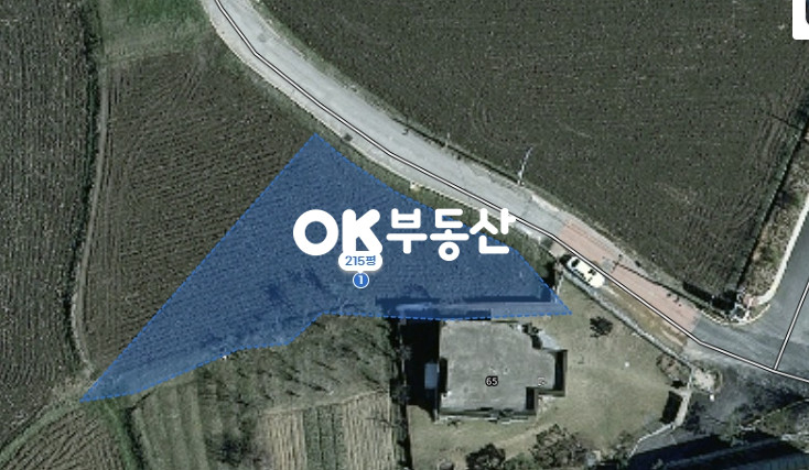 충남 아산시 신동 아산토지매매 자연녹지 215평 전면이 넓은 도로 접한 토지 매매 매물번호 16404 사진 2