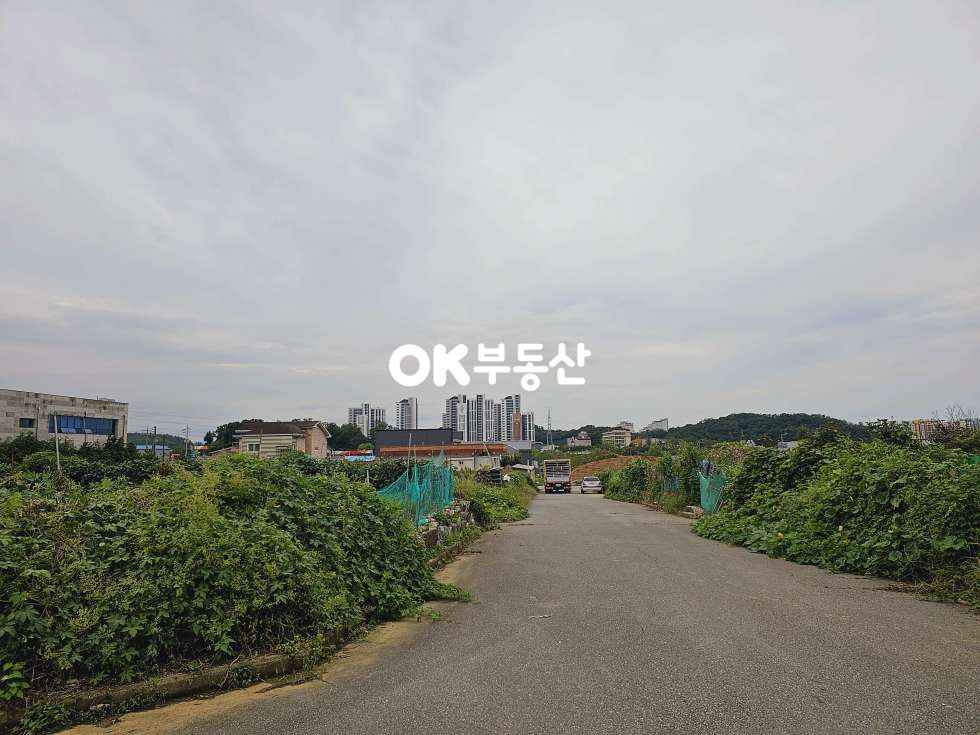 충남 천안동남구 구성동 천안전원주택매매 구성동주택매매 (토지 219평 연 41평 건축 26평) 매매 매물번호 16408 사진 3