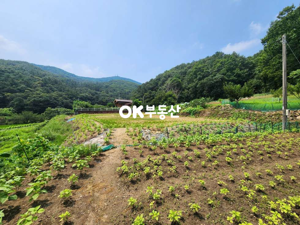 충남 천안동남구 목천읍 덕전리 천안전원주택매매 목천읍주택매매 (토지 649평 연 38평 건축 35평) 매매 매물번호 16299 사진 2