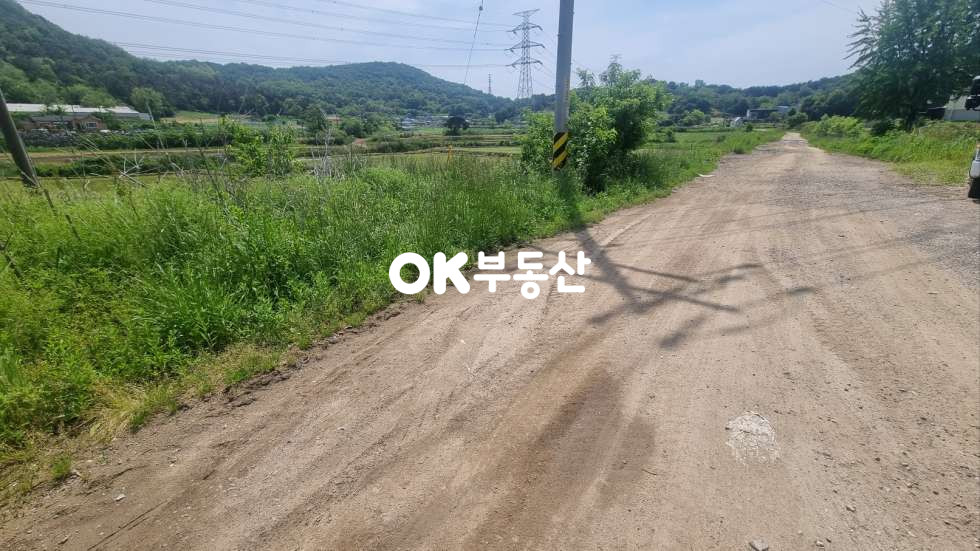 충남 아산시 영인면 신봉리 둔포토지 영인토지매매 2차선도로 접한 농림보호구역 매매 매물번호 17067 사진 3