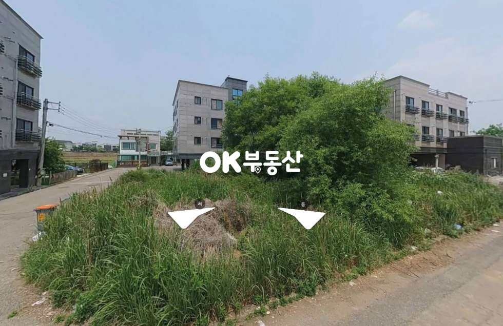 경기 평택시 팽성읍 근내리 평택토지매매 원룸부지매매 매매 매물번호 17075 사진 1