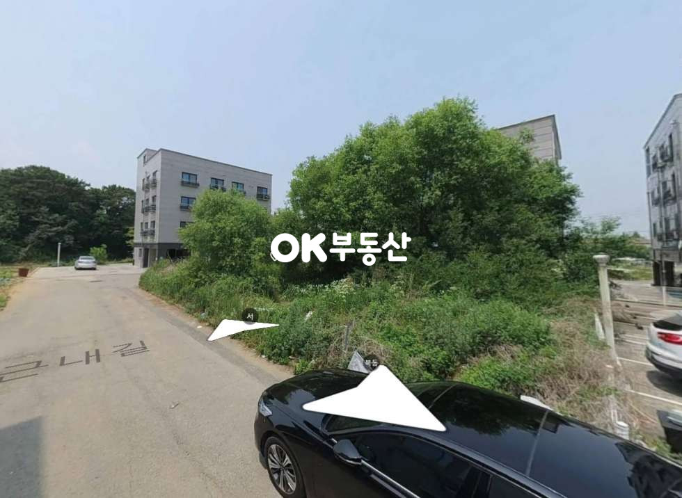경기 평택시 팽성읍 근내리 평택토지매매 원룸부지매매 매매 매물번호 17075 사진 4