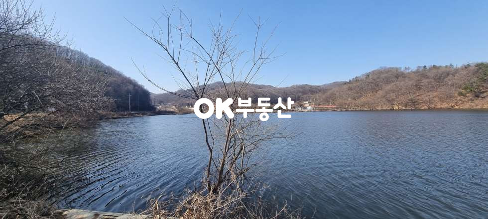 충남 천안동남구 성남면 대정리 대정저수지뷰 맛집 매매 매물번호 17105 사진 13