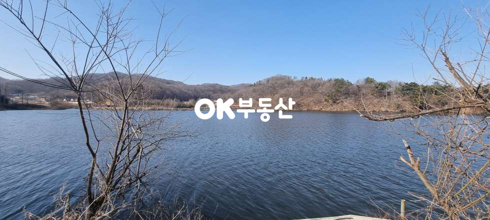 충남 천안동남구 성남면 대정리 대정저수지뷰 맛집 매매 매물번호 17105 사진 14