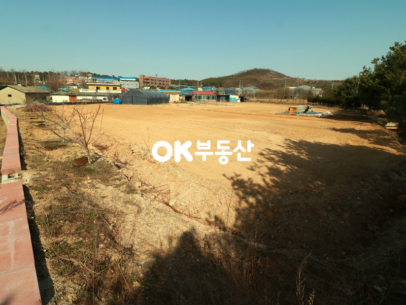 충남 천안서북구 입장면 가산리 입장면 축구센터 예정지 인근 주택용지 매매 매매 매물번호 11627 사진 3