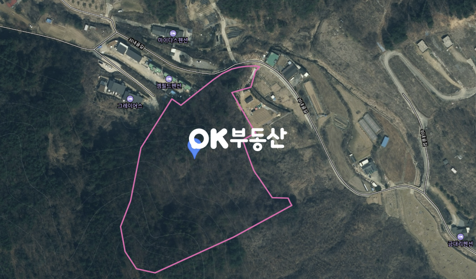경기 가평군 가평읍 금대리 북한강 줄기와 가까운 가평임야 매매 매매 매물번호 17167 사진 5