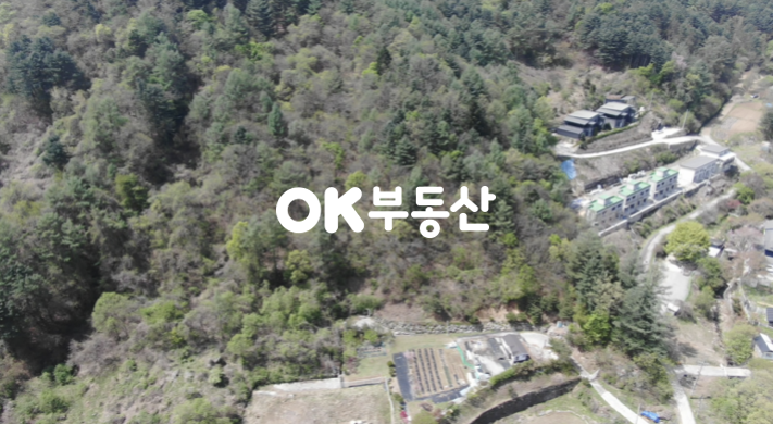 경기 가평군 가평읍 금대리 북한강 줄기와 가까운 가평임야 매매 매매 매물번호 17167 사진 6